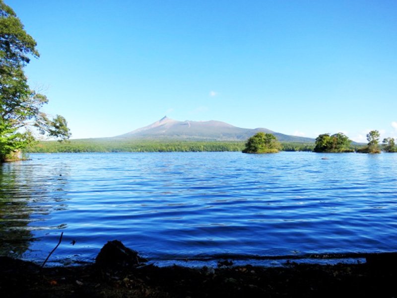 ⛩️ 아카기 신사 (赤城神社) 이미지 4